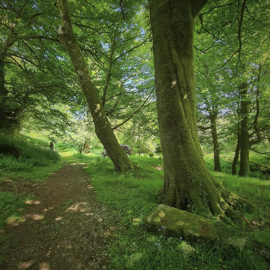 Ta Mill Holiday Cottages & Lodges -Ta Mill House Launceston Bagian luar foto