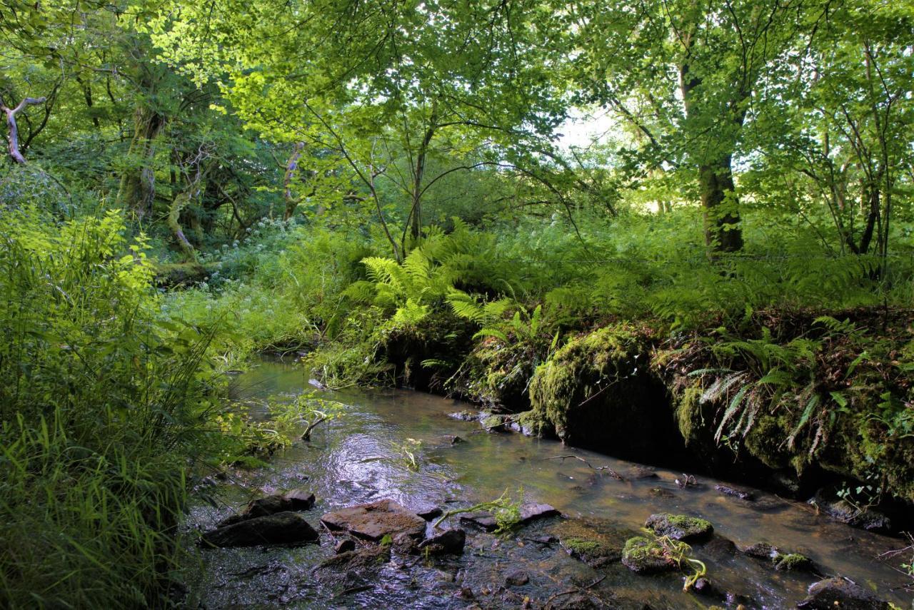 Ta Mill Holiday Cottages & Lodges -Ta Mill House Launceston Bagian luar foto