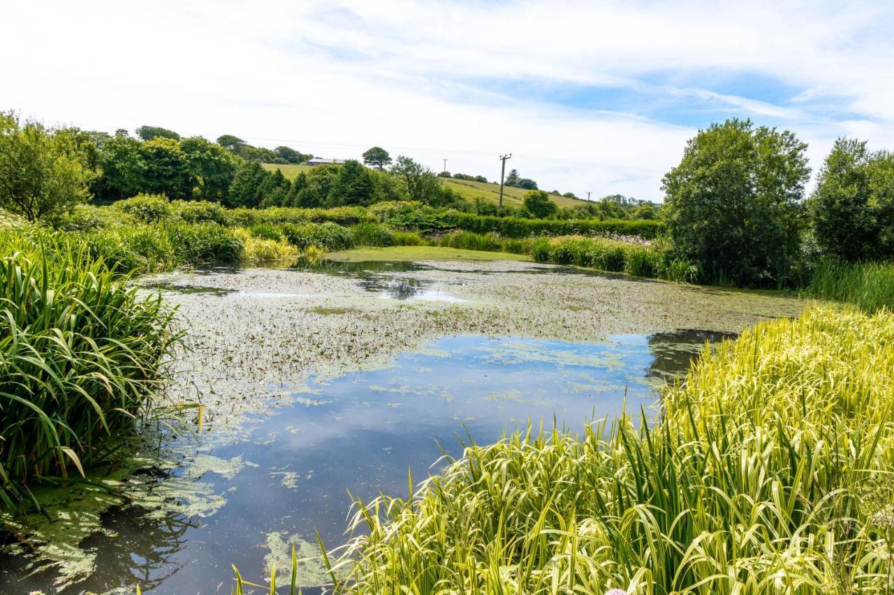 Ta Mill Holiday Cottages & Lodges -Ta Mill House Launceston Bagian luar foto