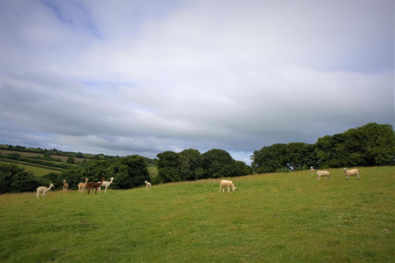 Ta Mill Holiday Cottages & Lodges -Ta Mill House Launceston Bagian luar foto